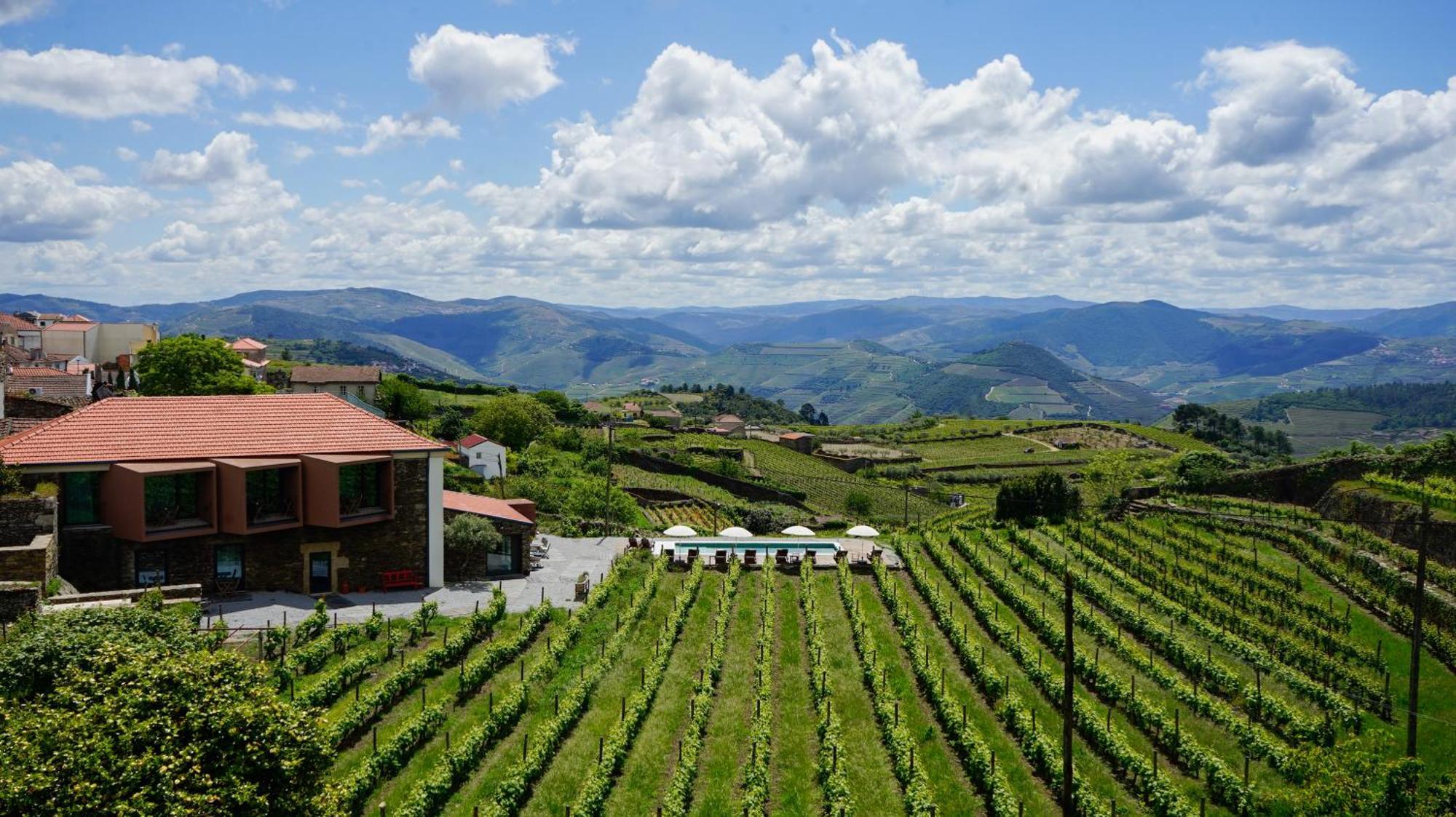 Villa Casa Do Santo - Wine & Tourism Provesende Esterno foto
